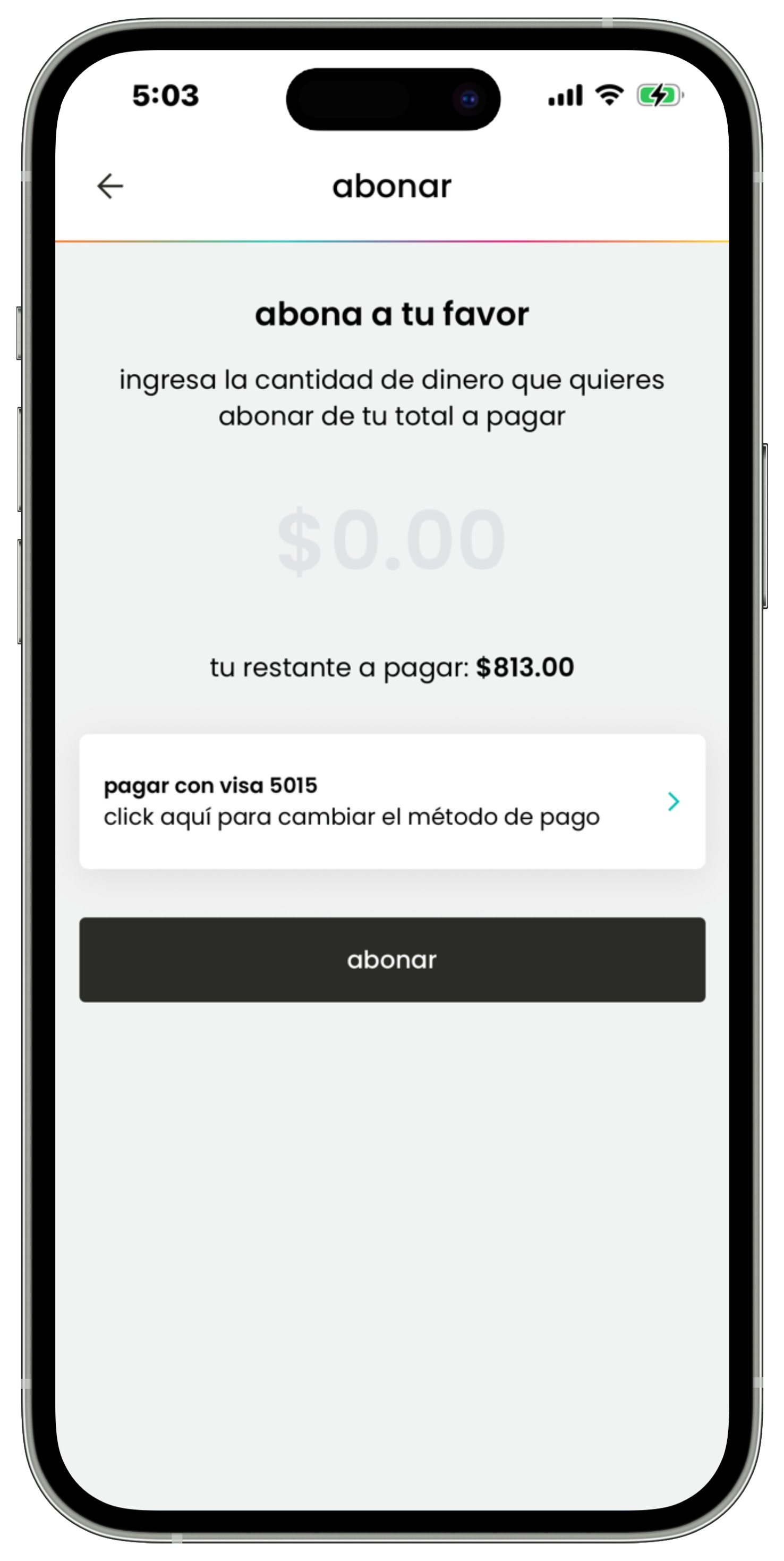 Izzi App - Facturación - Abonar - Hacer abono.jpg