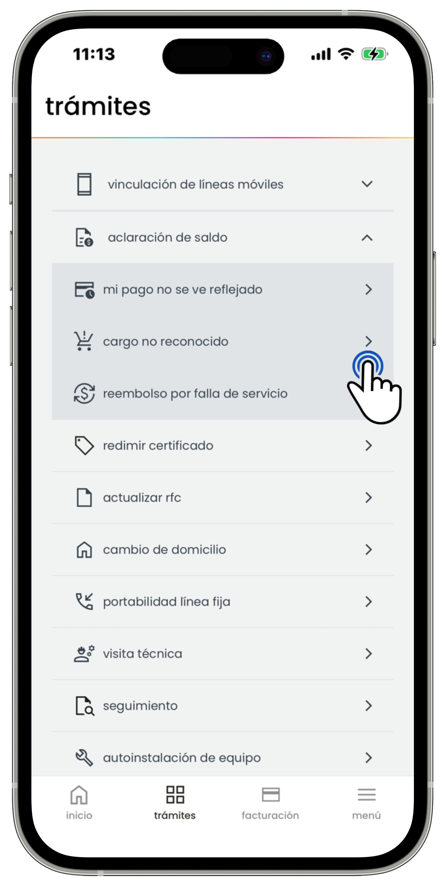 Cargo no reconocido 2.jpg