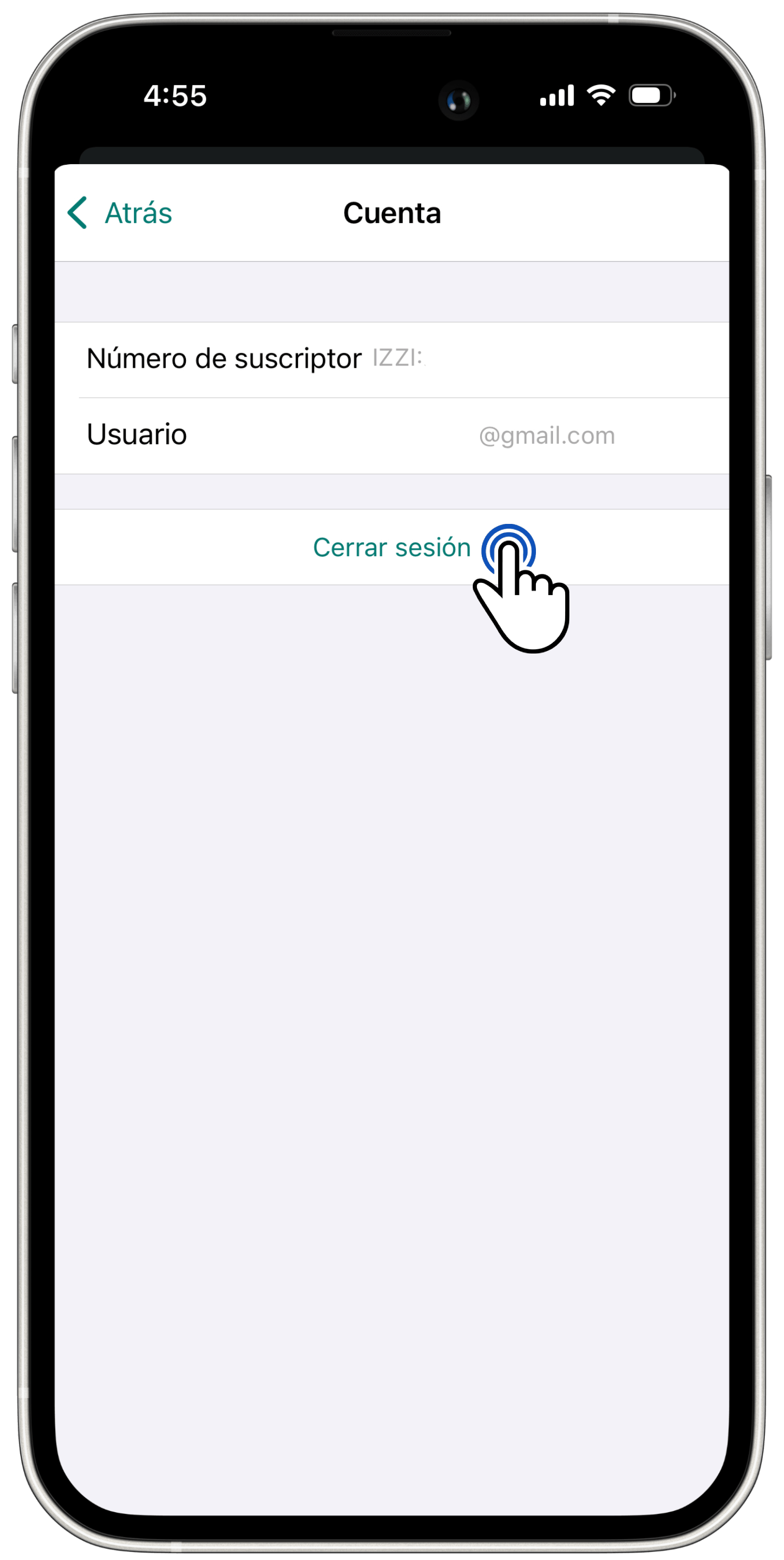 izzigo_iPh (109).png