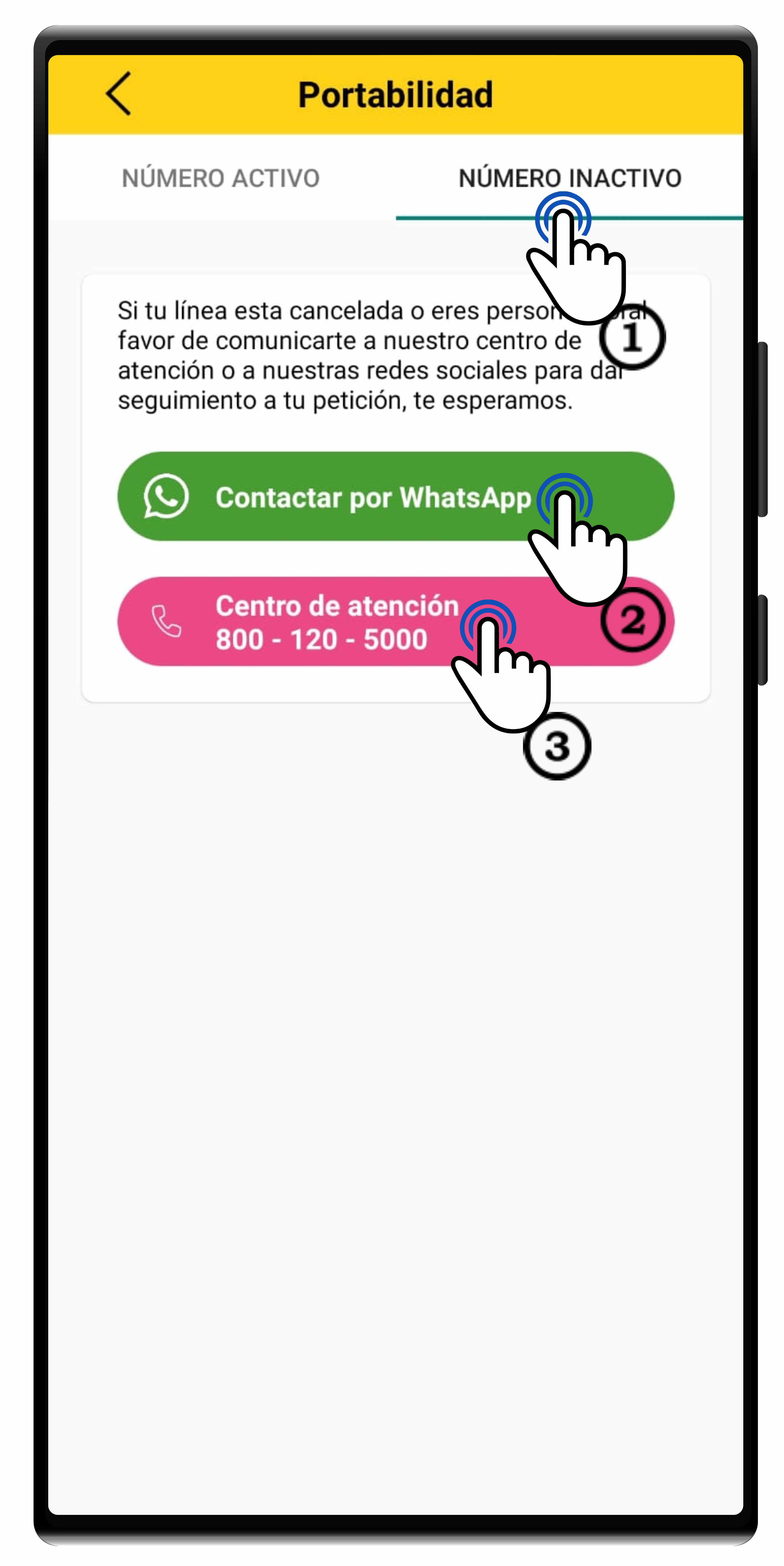 APPPORTA4.jpg