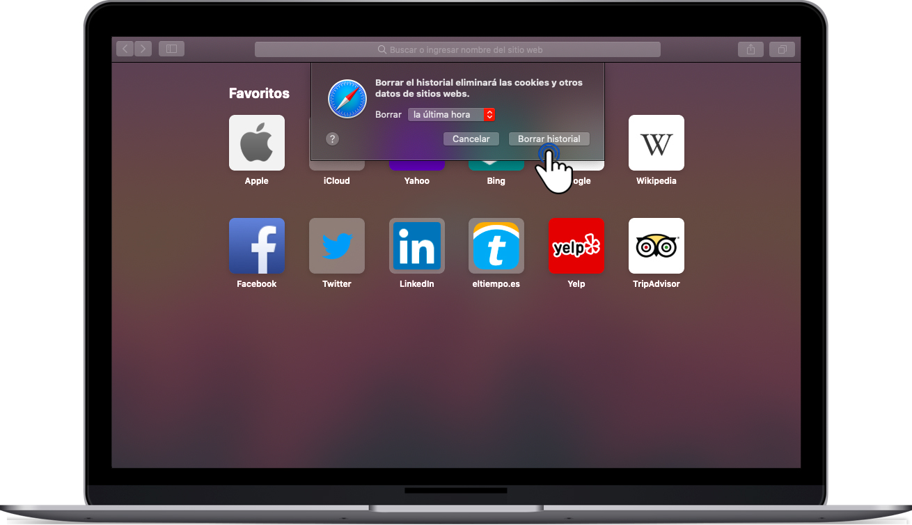 safari.jpg